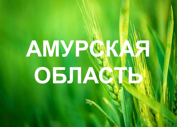Амурская область
